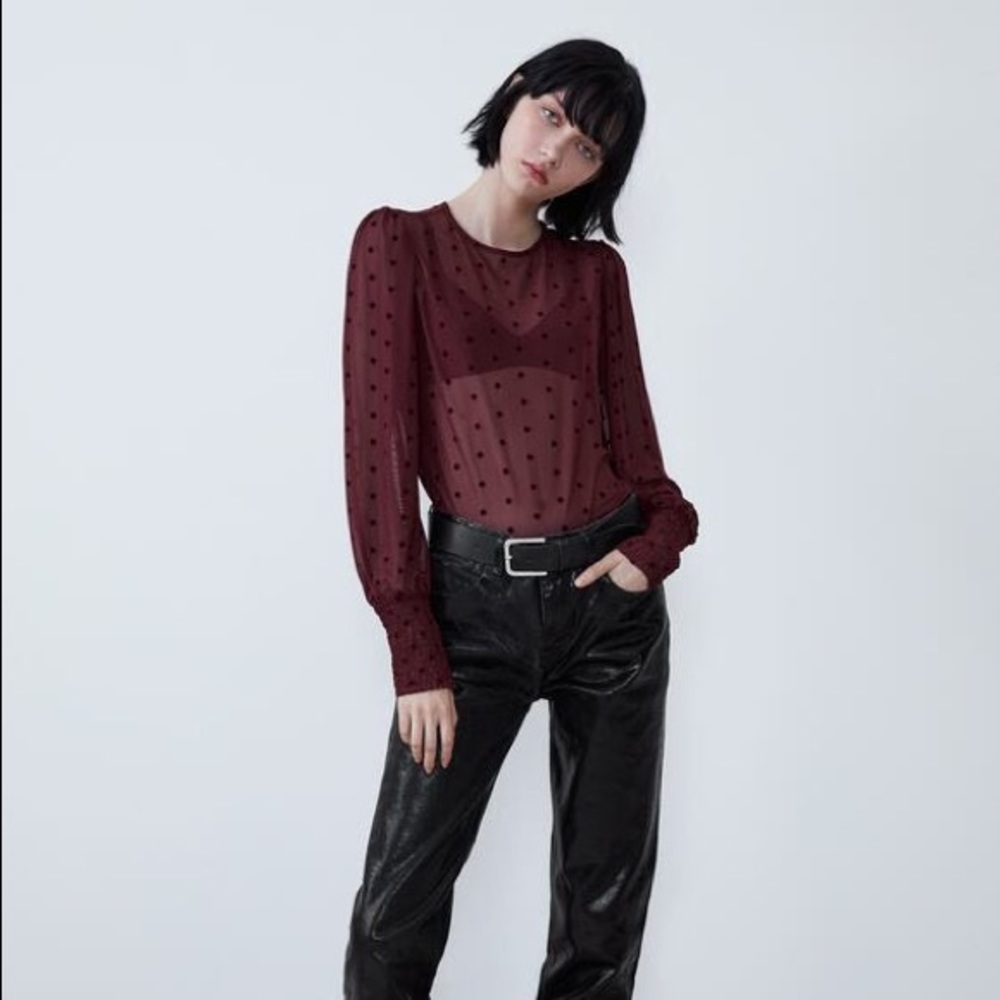 Zara- Mesh Top